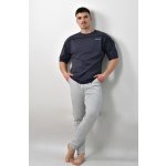 Fitness pánske tričko NIIN BodyGym